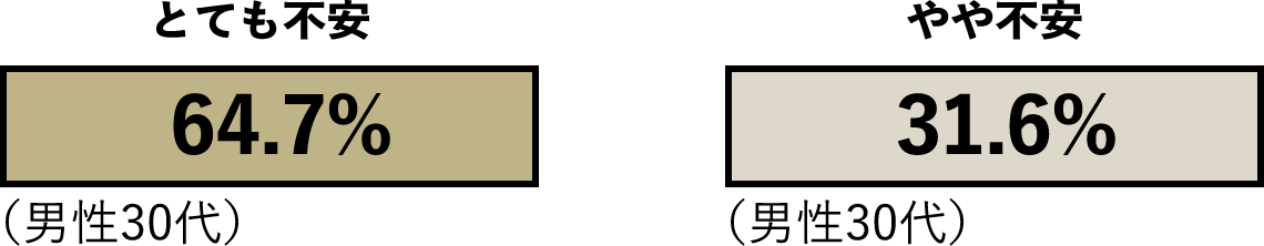 とても不安 64.7% やや不安31.6%(男性30代)
