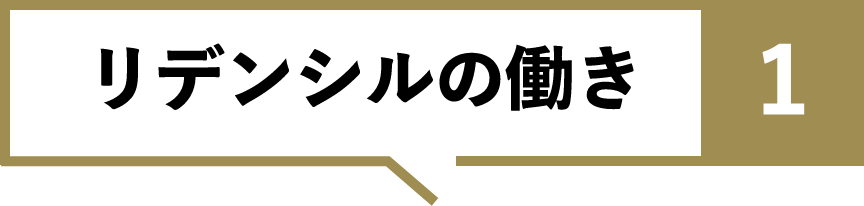 リデンシルの働き1