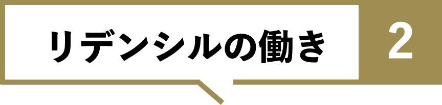 リデンシルの働き2