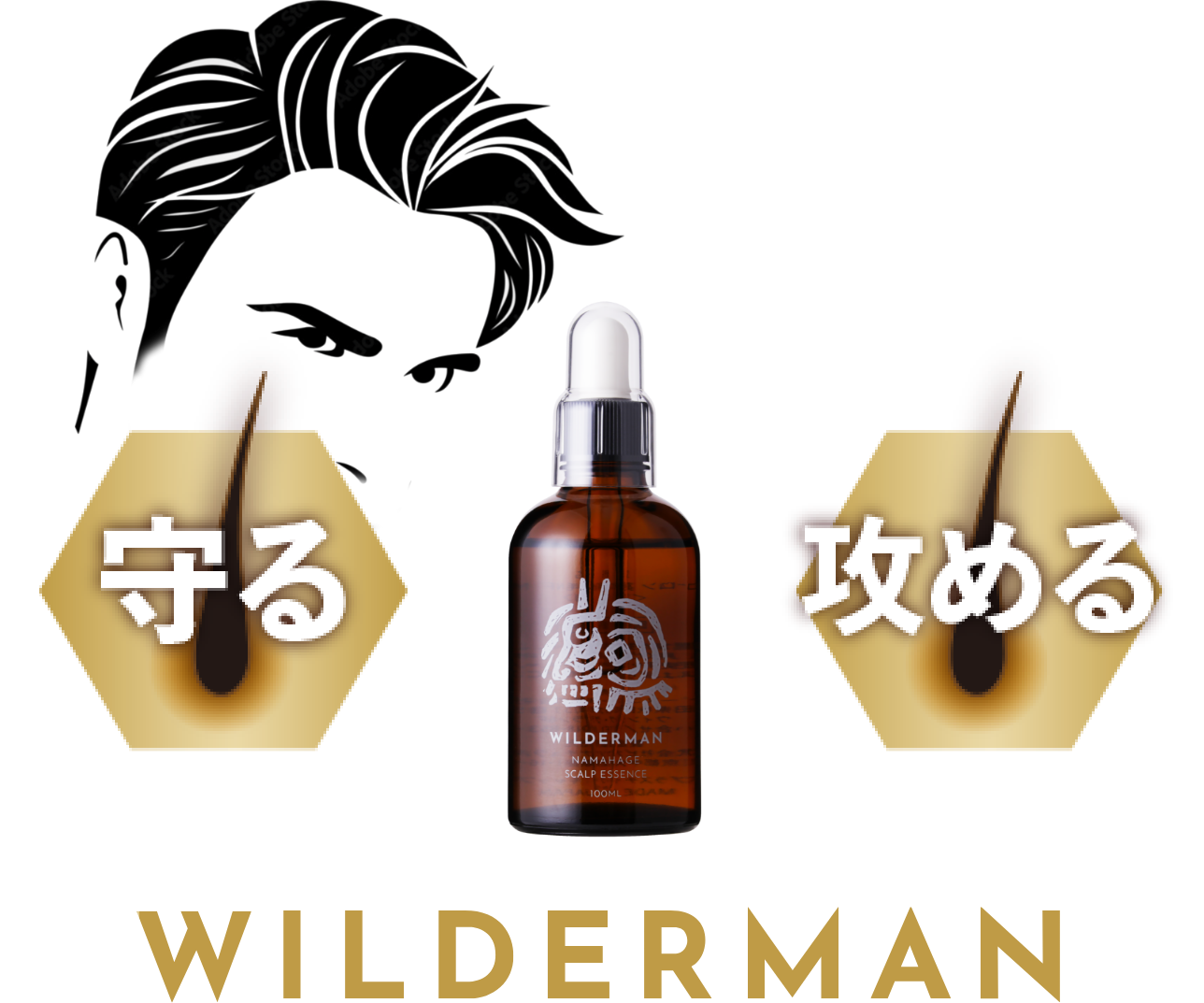 守る 攻める wilderman