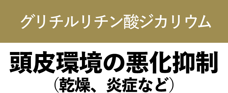 グリチルリチン酸ジカリウム 頭皮環境の悪化抑制(乾燥、炎症など)