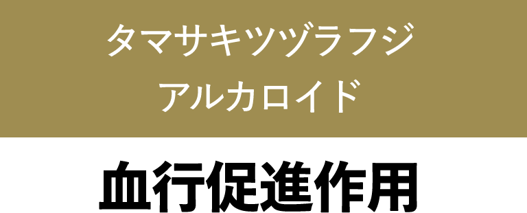 タマサキツヅラフジアルカロイド 血行促進作用