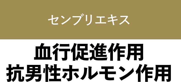 センブリエキス 血行促進作用 抗男性ホルモン作用